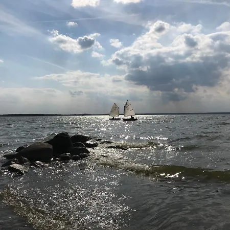 ファミリー トム