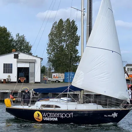 ファミリー トム